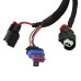 PartzBiz CM: 2906-Atomic TBI, ECU Only