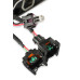 PartzBiz CM: 2907-Atomic TBI, ECU Only - Siemens PartzBiz CM: 2907-Atomic TBI, ECU Only - Siemens