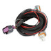PartzBiz CM: 6014CT-MSD Circle Track LS Ignition Control PartzBiz CM: 6014CT-MSD Circle Track LS Ignition Control