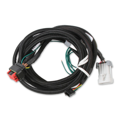 PartzBiz CM: 80002-สายรัด MSD EFI และ LS - Pro 600