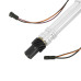 PartzBiz CM: 8356-Dual Pickup Chevy V8 Distributor