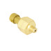 PartzBiz CM: 30-2131-100-
AEM 100 PSIg Brass Sensor Kit


