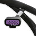 PartzBiz CM: 558-220-Holley EFI GM GEN V GDI Subharness PartzBiz CM: 558-220-Holley EFI GM GEN V GDI Subharness