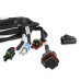 PartzBiz CM: 558-481-Holley EFI Transmission Harness - T-56 PartzBiz CM: 558-481-Holley EFI Transmission Harness - T-56