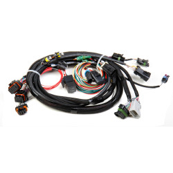 PartzBiz CM 558-101 - TPI/Stealth Ram Main Harness PartzBiz CM 558-101 - TPI/Stealth Ram Main Harness