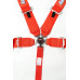 PartzBiz CM: 741011RQP-RaceQuip Camlock 5 Point Harness Set PartzBiz CM: 741011RQP-RaceQuip Camlock 5 Point Harness Set