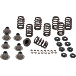 PartzBiz HD 900-0958 - S&S Cycle Sidewinder .605” Lift Valve Spring Kit Harley Touring Softail 17-20 M8 PartzBiz HD 900-0958 - S&S Cycle Sidewinder .605” Lift Valve Spring Kit Harley Touring Softail 17-20 M8