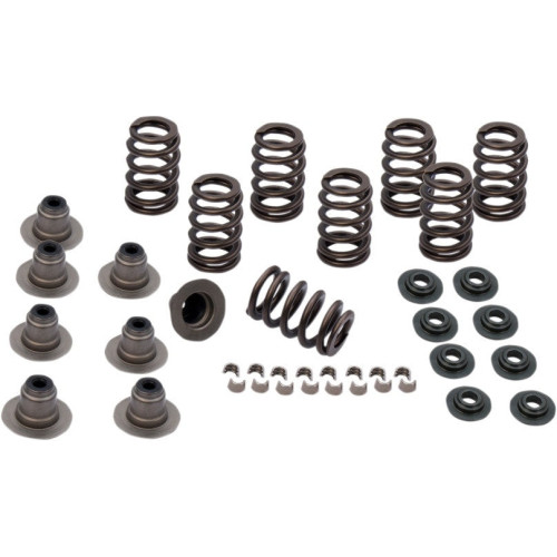 PartzBiz HD: 3456458-S&S Cycle Sidewinder .605” Lift Valve Spring Kit Harley Touring Softail 17-20 M8