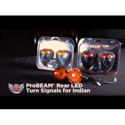 PartzBiz HD: -Custom Dynamics ProBeam Black Amber LED Front Turn Signals 14-19 Indian springfield roadmaster chief chieftain 2020-1743 20201743 PartzBiz HD: -Custom Dynamics ProBeam Black Amber LED Front Turn Signals 14-19 Indian springfield roadmaster chief chieftain 2020-1743 20201743