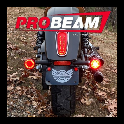 PartzBiz HD: -Custom Dynamics ProBEAM Rear Red Ring Bullet Turn Signal LEDs Chrome Scout 15-20 2020-1915 20201915 PB-SCOUT-RR-CR Harley light replacement upgrade touring softail PartzBiz HD: -Custom Dynamics ProBEAM Rear Red Ring Bullet Turn Signal LEDs Chrome Scout 15-20 2020-1915 20201915 PB-SCOUT-RR-CR Harley light replacement upgrade touring softail