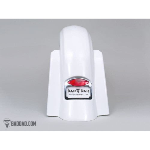 PartzBiz HD: 4422927-Bad Dad Raw Summit All-In-One Rear Fender Harley FL Touring 14-Up 81082 full fuel system exhaust air cleaner filter tuner performance best for