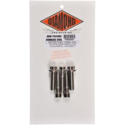 PartzBiz HD DS24010224 - ชุดน็อตเครื่องยนต์สแตนเลสขัดเงา Diamond Engineering 12 จุด XL 04-15 | PS819S