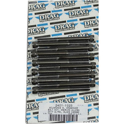 PartzBiz HD DS24011023 - Drag Specialties Black Chrome-Plated Crank Case Bolt Replacement Kit Knurled Head 17-19 Harley Davidson Milwaukee Eight M8 M-Eight Touring Hardware Bolts Nuts Washers Engine