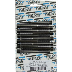PartzBiz HD DS24011024 - Drag Specialties Black Chrome-Plated Crank Case Bolt Replacement Kit Smooth Head 17-19 Harley Davidson Milwaukee Eight M8 M-Eight Touring Hardware Bolts Nuts Washers Engine CrankCase