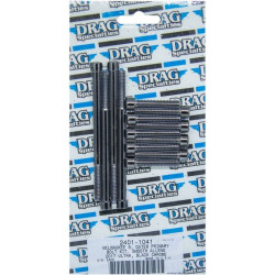 PartzBiz HD DS24011041 - Drag Specialties Black Outer Primarty Bolt Replacement Kit Smooth Head 17-19 Harley Davidson Milwaukee Eight M8 M-Eight Touring Hardware Bolts Nuts Washers Engine Transmission