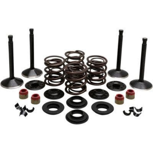PartzBiz HD: 4413708-EPC Great Price. Free Shipping. Kibblewhite 20-22450 Black Diamond Stainless Steel Valve Kit Shovelhead 74 66-77 PartzBiz HD: 4413708-EPC Great Price. Free Shipping. Kibblewhite 20-22450 Black Diamond Stainless Steel Valve Kit Shovelhead 74 66-77
