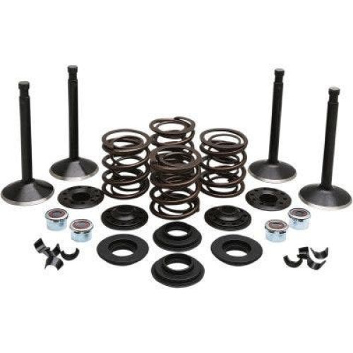 PartzBiz HD: 4413709-EPC Great Price. Free Shipping. Kibblewhite 20-22550 Black Diamond Stainless Steel Valve Kit Shovelhead 80 78-83 PartzBiz HD: 4413709-EPC Great Price. Free Shipping. Kibblewhite 20-22550 Black Diamond Stainless Steel Valve Kit Shovelhead 80 78-83
