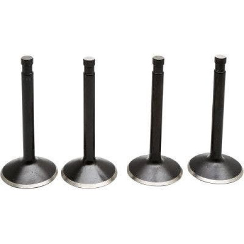 PartzBiz HD: 4413711-EPC Great Price. Free Shipping. Kibblewhite 20-22400 Black Diamond Stainless Steel Valve Kit Shovelhead 74 66-77