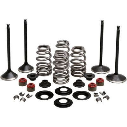 PartzBiz HD: 4413716-Kibblewhite 20-23150 Black Diamond Stainless Steel Valve Kit H-D Twin Cam 05-17 PartzBiz HD: 4413716-Kibblewhite 20-23150 Black Diamond Stainless Steel Valve Kit H-D Twin Cam 05-17