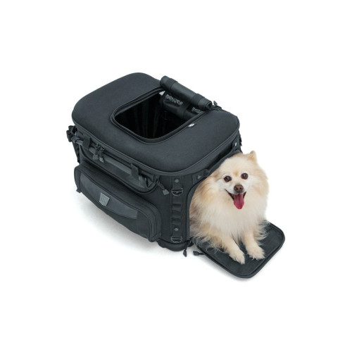 PartzBiz HD: 4413051-Kuryakyn 5288 Grand Pet Palace ชั้นวางสัมภาระ กระเป๋าข้าง Harley & Metric PartzBiz HD: 4413051-Kuryakyn 5288 Grand Pet Palace ชั้นวางสัมภาระ กระเป๋าข้าง Harley & Metric