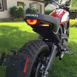 PartzBiz HD TR578858 - ใหม่ Rage Cycles บังโคลนหลังกำจัดพร้อมสัญญาณ LED 15-16 Ducati Scrambler 800 ตัวบ่งชี้เครื่องหมายย้ายป้ายทะเบียนซุกเปลี่ยนอัพเกรดที่ดีที่สุดใหม่รถจักรยานยนต์เลื่อนทะเลทราย PartzBiz HD TR578858 - ใหม่ Rage Cycles บังโคลนหลังกำจัดพร้อมสัญญาณ LED 15-16 Ducati Scrambler 800 ตัวบ่งชี้เครื่องหมายย้ายป้ายทะเบียนซุกเปลี่ยนอัพเกรดที่ดีที่สุดใหม่รถจักรยานยนต์เลื่อนทะเลทราย