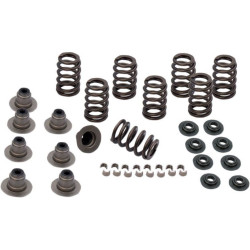 PartzBiz HD SS900-0958 - S&S Cycle 900-0958 Sidewinder .605" Valve Spring Kit 17-19 Harley Davidson Milwaukee M8 M-Eight Touring Softail Performance Upgrade Replacement Engine Power 0926-2972 09262972 PartzBiz HD SS900-0958 - S&S Cycle 900-0958 Sidewinder .605" Valve Spring Kit 17-19 Harley Davidson Milwaukee M8 M-Eight Touring Softail Performance Upgrade Replacement Engine Power 0926-2972 09262972
