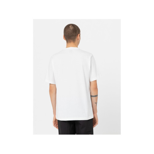 PartzBiz HD: 5900295-เสื้อยืดผู้ชาย Aitkin Chester SS
