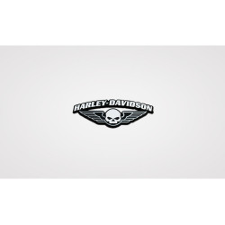 PartzBiz HD 101744 - หมุด Harley-Davidson Winged Skull 8011284 PartzBiz HD 101744 - หมุด Harley-Davidson Winged Skull 8011284