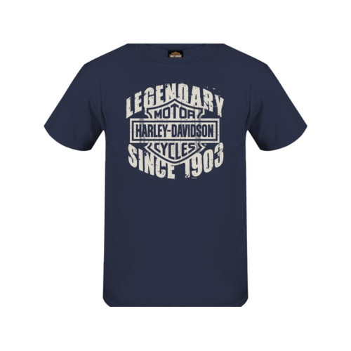 PartzBiz HD: 5901238-เสื้อเชิ้ตตัวแทนจำหน่ายผู้ชาย Harley-Davidson Grunge H-D R004863