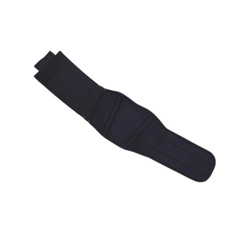 PartzBiz HD: 5901924-Unisex Kidney Belt Striker